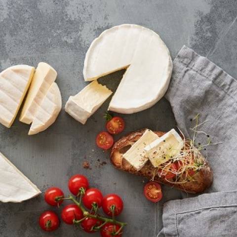 Lactalis Suisse SA arbeitet künftig mit der Wander AG im Bereich Foodservice zusammen 