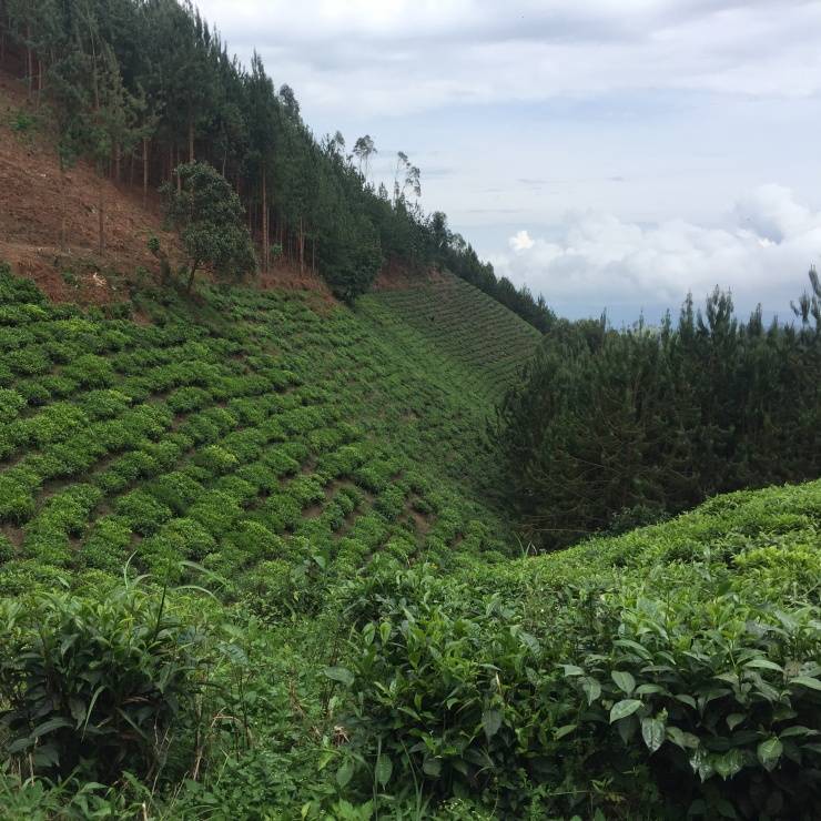 Nachhaltigkeit bei Wander